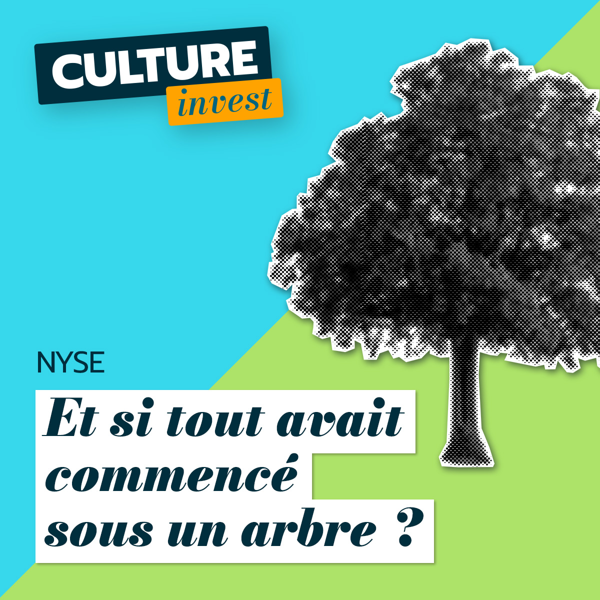 Et si tout avait commencé sous un arbre ?