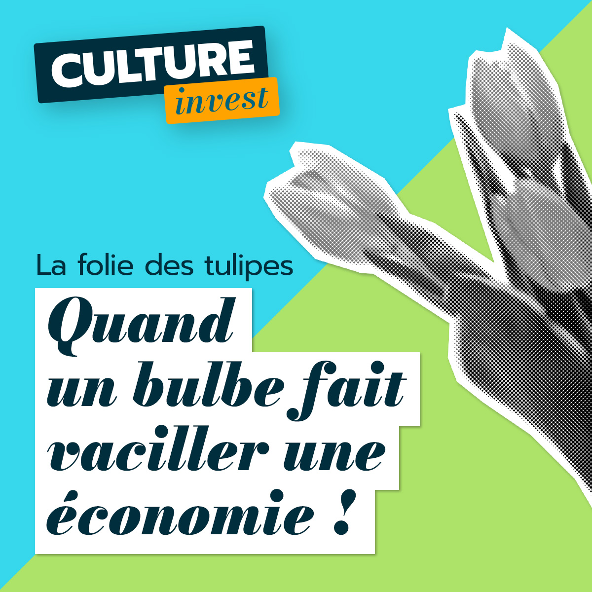 Quand un bulbe fait vaciller une économie