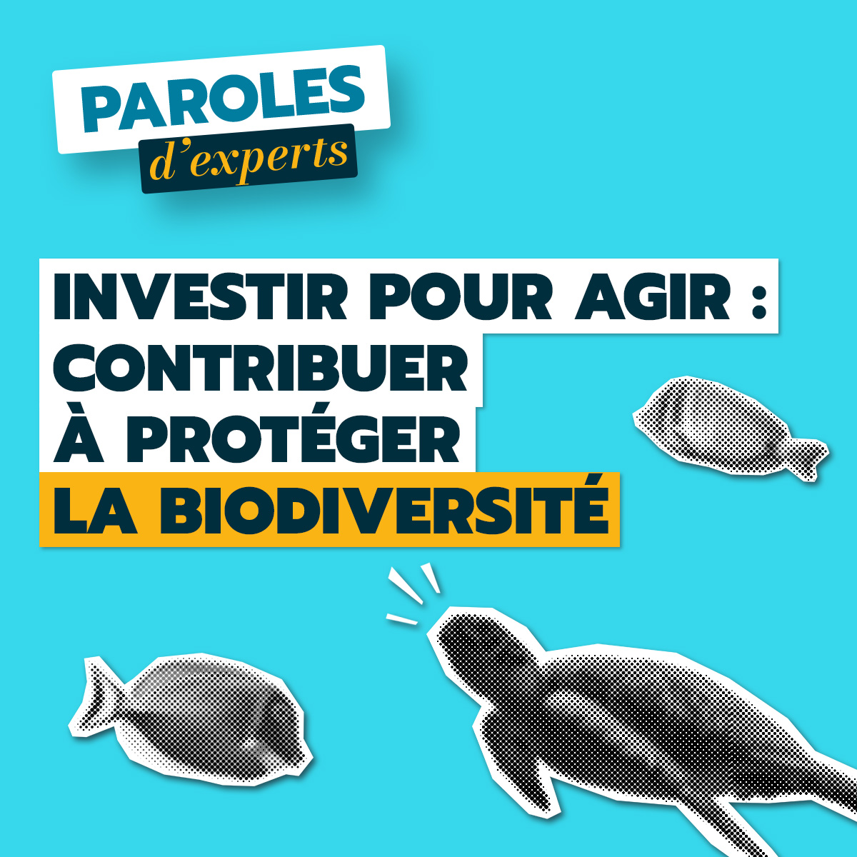 Investir pour agir : contribuer à protéger les océans